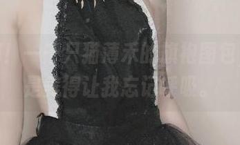 哦天哪！一千只猫薄禾的旗袍图包，简直是美得让我忘记呼吸。