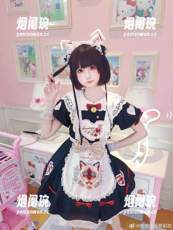 橙喵 在图库中遨游:橙喵与海边的那些瞬间