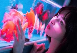 旗袍私拍，河豚抚子教你如何在优雅中保持调皮