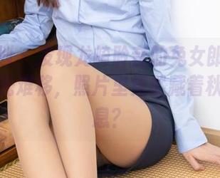 紧急企划 – 发现龙崎聆音的兔女郎：美图让人目光难移，照片里竟然藏着秋天的气息？