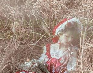 下载阿包也是兔娘的图集吧！无期迷途可可莉克，准备好让你的手机也感受到迷失的魅力！